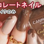 キャンメイクネイルのみでチョコレートネイルデザインのやり方動画 JAPAN Nails