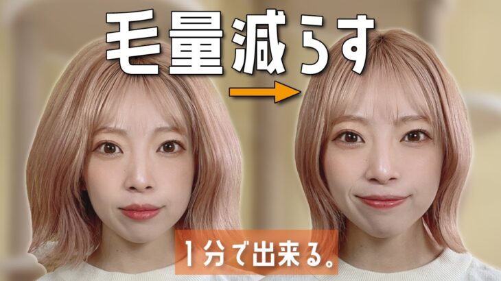 毛量が多い方だけ、見てください。カットせずに髪の量を減らしたように見せるヘアアレンジ！ボブでも出来ます！！