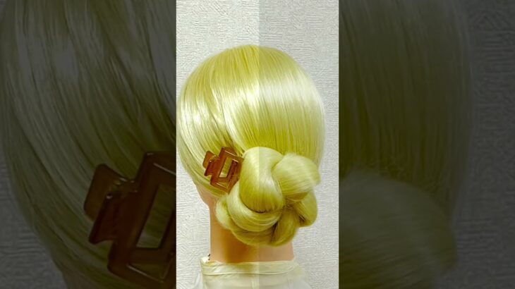Hair Clip Arrangement 2 Everyday (Monday) ヘアクリップ ツイストまとめ髪 #shorts #short