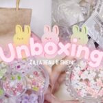 [cc] haul | 📦 Zillabeau & Shein unboxing ep. 4, Nail Reserve, Gel polish, Nail charms