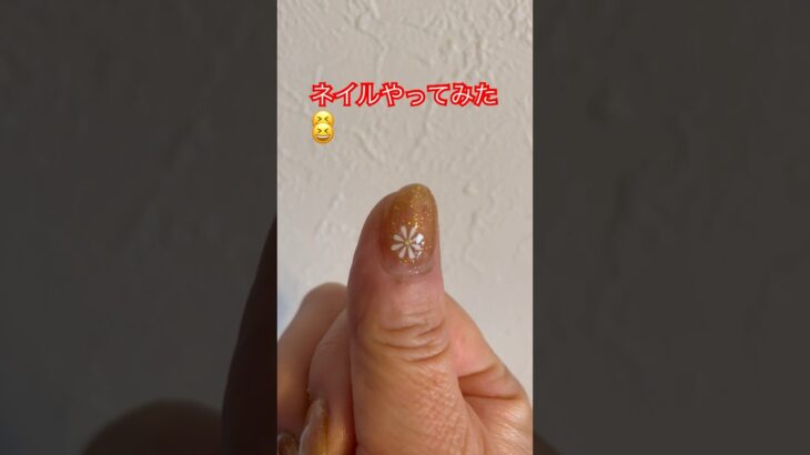 ダイソー キャンドゥを使って🙃ジェルネイル