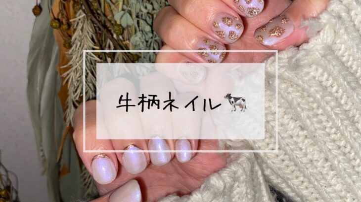 フラッシュネイル&オーロラネイル🦋ジェルネイル🦋/nail/네일