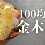 【100均ネイル】秋の花といえばコレ‼️セリア、キャンドゥのジェルで金木犀のネイル作っていく🏵️