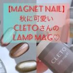 【magnet nail】秋に可愛いCLETOさんのlamp magをまとめてご紹介♡♡color lamp magもあるよ💓#magnetnail #マグネットネイル　#cleto #nail