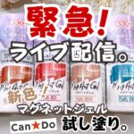 【キャンドゥ】秋冬新色マグネットジェルが出たので色味をチェック！