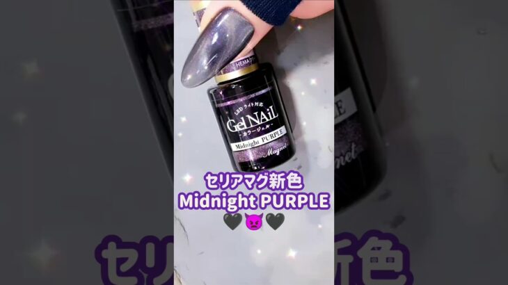 セリアマグ１色だけで個性派ニュアンス🖤