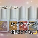 【ネイル工房ジェル🌙】買うか悩んでたかぐやマグネットが綺麗すぎて大興奮✨