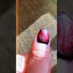 Cat Eye Gel Nail Polish in Red and Black