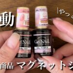 【やば！】Seriaさんいつもありがとう🙏やっと手に入ったマグネットで自爪に冬デザイン💅