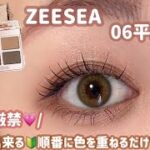 【ZEESEA】毎日使える！誰でも簡単に出来るブラウンメイク🍫💓