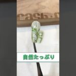 #ネイル #ネイル動画 #春ネイル #ネイルデザイン #ネイルアート #ジェルネイル #ネイルチップ #緑ネイルデザイン