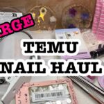Large Temu Nail Supply / Nail Art Haul with LINKS
