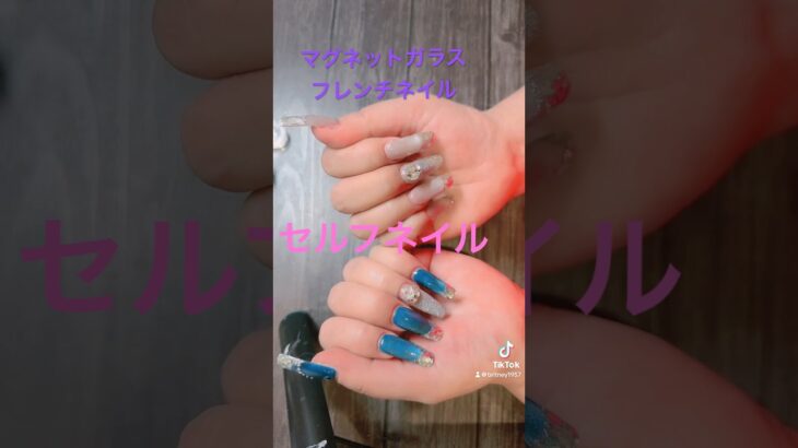 #nails#nailart #naildesigns #ネイル #セルフネイル#ガラスフレンチ#フレンチネイル#マグネットネイル SHEIN CanDo ジェルネイル