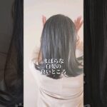 グレイヘアとまとめ髪って相性抜群ですよね✨白髪率20%の少ない白髪だけど、ハイライトぽくなって良き😊#グレイヘア #白髪 #黒髪 #ヘアセット #ヘアアレンジ