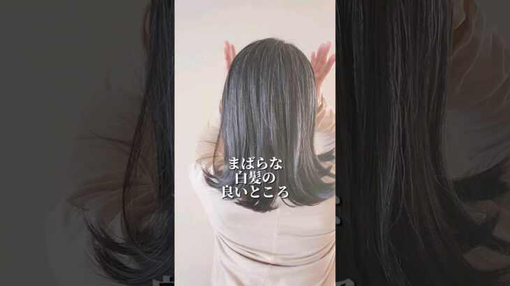 グレイヘアとまとめ髪って相性抜群ですよね✨白髪率20%の少ない白髪だけど、ハイライトぽくなって良き😊#グレイヘア #白髪 #黒髪 #ヘアセット #ヘアアレンジ