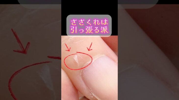 #自爪 #自爪育成 #甘皮#ネイルケア #爪 #ネイルオイル#恵比寿 #駅近 #マニキュア #ジェルネイル #美爪 #噛み爪#二枚爪#ネイルベッド#ネイルベッド伸ばし方#縦長美爪