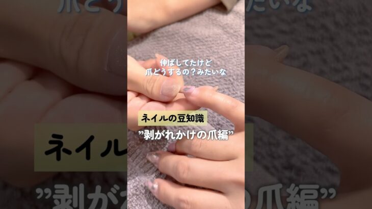サンドイッチがとっても重要なんです✨🥪サンドイッチの詳しい内容は、2024/08/27の投稿で解説しております👍#ネイル #ネイルサロン #ネイルデザイン #ネイリスト #ジェルネイル