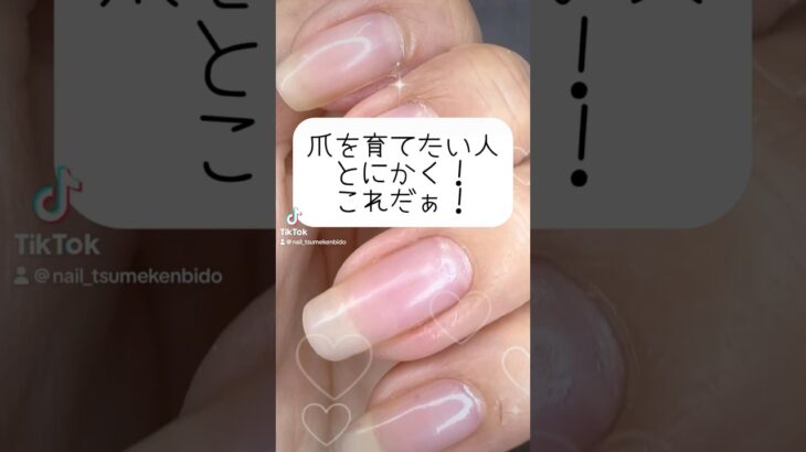 #自爪 #自爪育成 #甘皮#ネイルケア #爪 #ネイルオイル#恵比寿 #駅近 #マニキュア #ジェルネイル #美爪 #噛み爪#二枚爪#ネイルベッド#ネイルベッド伸ばし方#縦長美爪