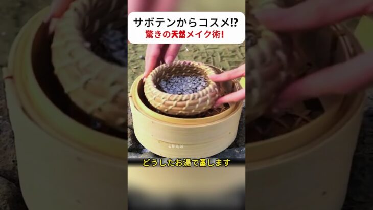 サボテンからコスメ!? 驚きの天然メイク術！ #関連ハッシュタグ： #ナチュラルコスメ #ハンドメイドチーク #エシカルビューティー #オーガニックライフ #伝統美容術