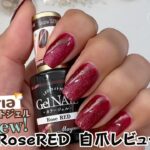 【新色出た！】セリアマグネットジェル『ローズレッド』自爪で色味レビュー♪#マグネットジェル ＃セリアマグネットジェル #セリアジェルネイル