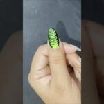 Try this most easiest nailart for beginners 💅❤️😍 #youtubeshorts #nailart #easynailart #viralshorts