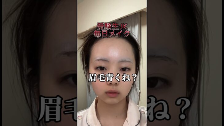 受験生女子高生の毎日メイクがやばい