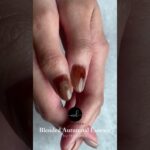 秋韻美甲｜ Blended Autumnal Essence Nail Art ｜NailDesu作品