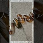 【べっ甲ネイル】秋を彩る大人なべっ甲デザインを集めてみました　#ジェルネイル #ネイル #まむし指 #マムシ指 #べっ甲ネイル
