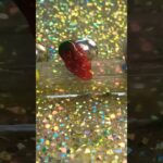 🍓 3D Strawberry Nail Art in 60 Seconds | Easy Summer Fruit Nail Tutorial