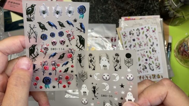 Temu Haul Nail Goodies 1 Video 2 Unbaggings