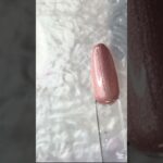 XEIJAYI Flower Silk Cat Eye Collection Swatch with me. #nailart #nails #gelpolish #swatches #temu