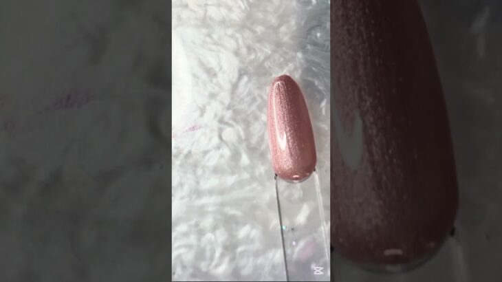 XEIJAYI Flower Silk Cat Eye Collection Swatch with me. #nailart #nails #gelpolish #swatches #temu