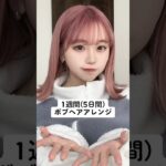 ボブでも出来るヘアアレンジパート2！解説はその他SNSに載ってますっ#shorts #わたなべみなみ
