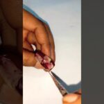 Simple Maroon Nail 💅 👌 Art #nails #nails #naildesign #nailgelart #simplenails #youtubeshorts