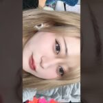 SHEGLAMでフルメイクしたらめっちゃ良きだった！