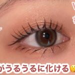 【完全保存版】秋のツヤ盛れアイメイク 🍇Visee ダブルムードアイズOR-4×ちふれツインカラーアイシャドウ75