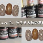 そろそろ秋ネイルの準備しとこ？セリアのジェルで揃えたよ【秋色チェックネイル|秋色マグネットネイル】