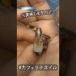 【秋ネイル】セルフでもサロン級！カフェラテネイルの作り方💅｜tsukimi nail #セルフネイル #ネイル #shorts #カフェラテネイル