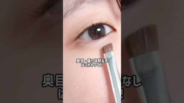奥目・盛り耐性なしが盛れる涙袋メイク🪄 #美容 #コスメ #垢抜け #メイク #メイク方法 #アイメイク #涙袋 #shorts