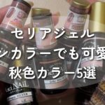 【セリアジェルネイル】ワンカラーでも可愛い秋色カラーはこれ！可愛すぎるバーガンディカラーも作ったよ🍂