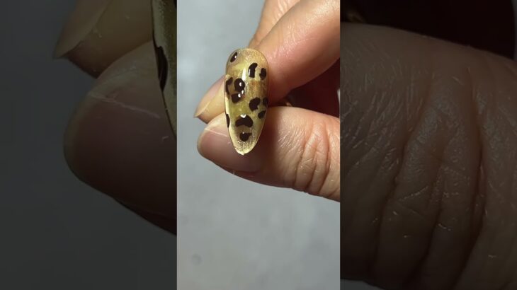 簡単レオパネイル🐆