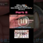 キャンドゥマグネット6色✨秋にぴったりな大人カラー発見！【水光マグ】Part２