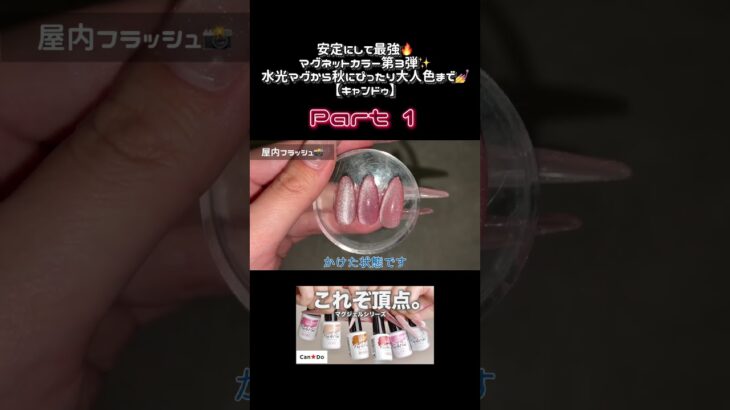 キャンドゥマグネット6色✨秋にぴったりな大人カラー発見！【水光マグ】Part１