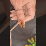Easy Nailart Design #nailartpd #shorts #2025