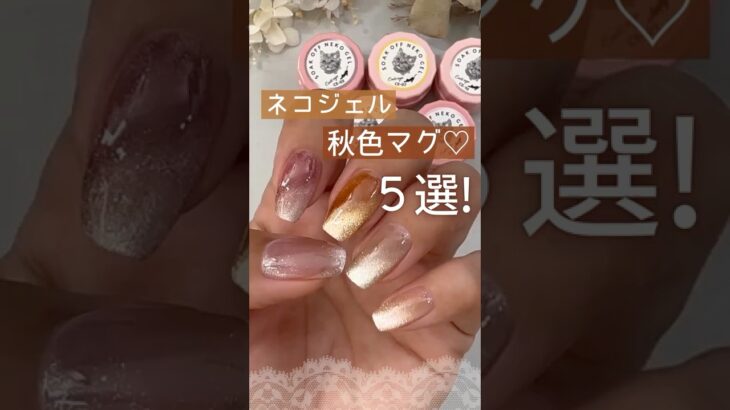 【秋色5選♡】ネコジェルマグネットネイルのおすすめ！　#ネコジェル #マグネットネイル #秋ネイル