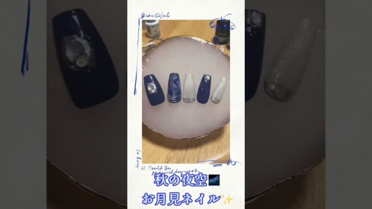 秋の夜空🌌お月見ネイル✨#セルフネイル #ジェルネイル #お月見ネイル