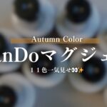 【CanDoマグネットジェル】秋に映える！マグネットジェル11色まとめ✨