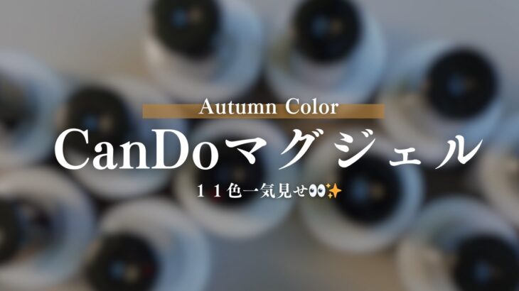 【CanDoマグネットジェル】秋に映える！マグネットジェル11色まとめ✨
