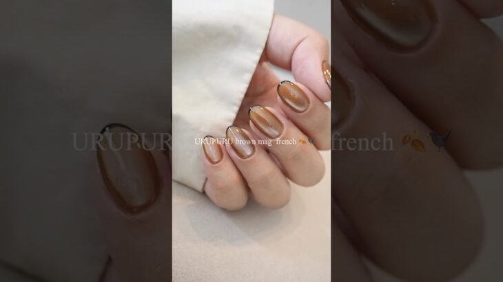 【100均ジェル】秋のうるぷるブラウンマグ🧸と黒フレンチのやり方🍂💘#セルフネイル #ネイル #nails #秋ネイル#マグネットネイル#キャンドゥマグ#フレンチネイル#ブラウンネイル