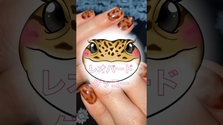 勝手に名付けました#シェルネイル #ジェルネイル初心者 #レオパードゲッコー #かわいい #簡単 #デザイン #購入品紹介 #shein #楽天 #購入品 #shorts